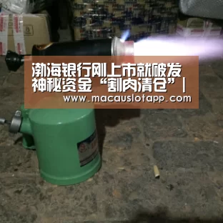 渤海银行刚上市就破发 神秘资金“割肉清仓”|皇冠网app下载(图2) 渤海银行刚上市就破发 神秘资金“割肉清仓”|皇冠网app下载(图2)