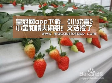 皇冠网app下载_《小欢喜》小金和情夫闹掰!文洁捡了一个大便宜!(图1) 皇冠网app下载_《小欢喜》小金和情夫闹掰!文洁捡了一个大便宜!(图1)