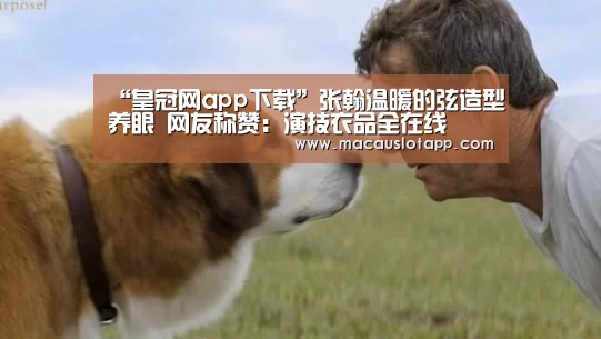 “皇冠网app下载”张翰温暖的弦造型养眼 网友称赞:演技衣品全在线(图4) 皇冠app