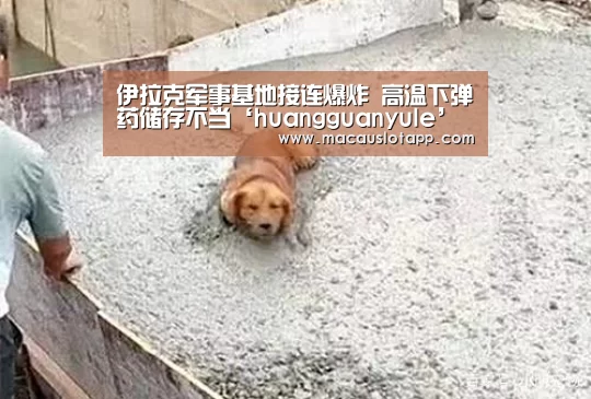 皇冠网app下载